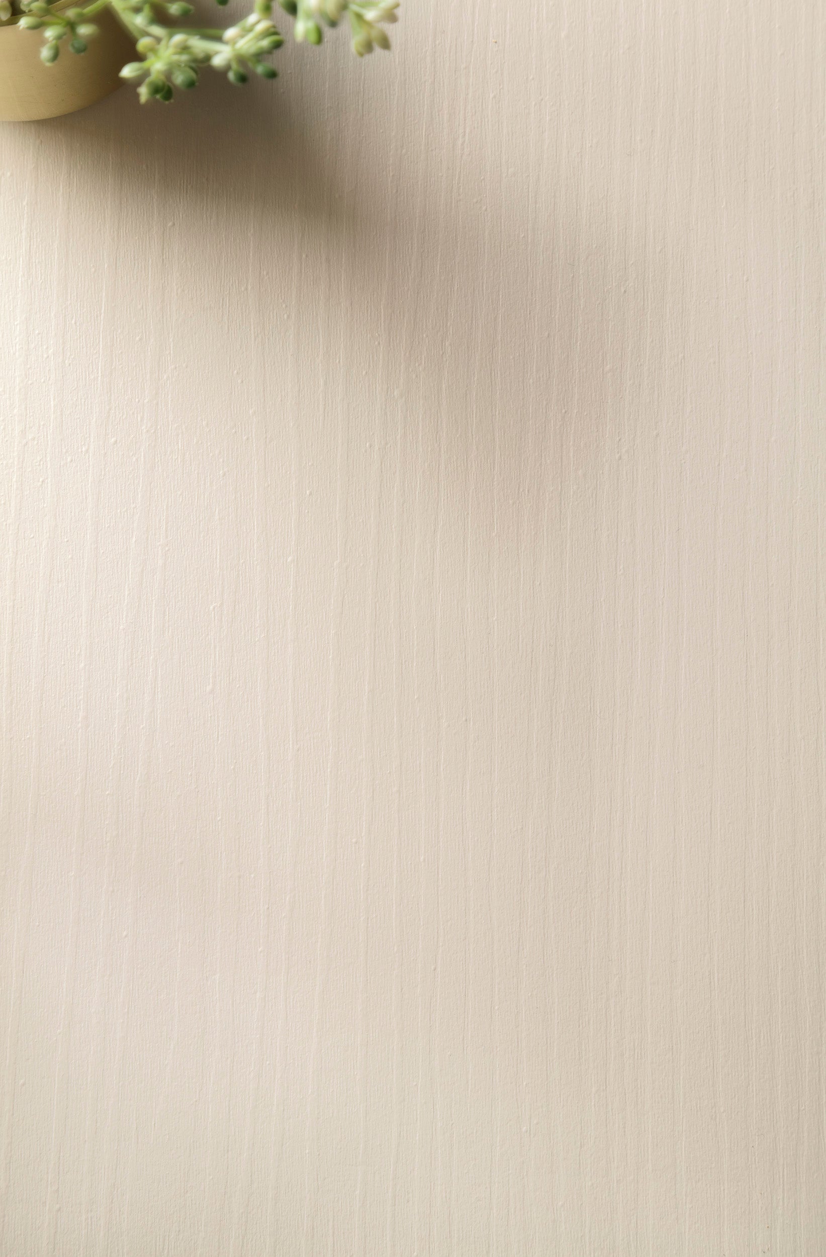 Forest Small Dresser - Chest of Drawers Sand Beige