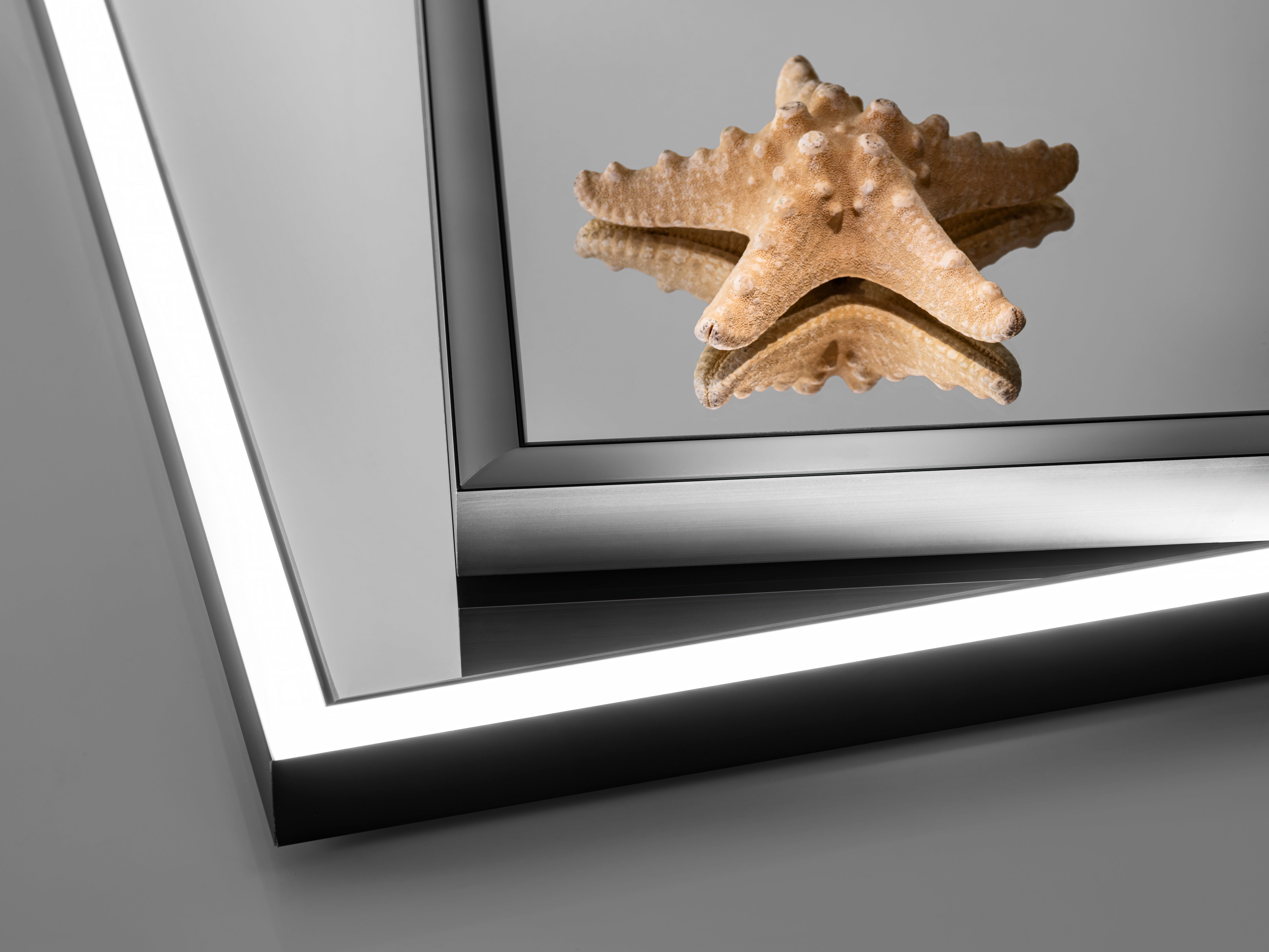 Alice Mirror LED 120 – Graphite, 68 x 123 cm